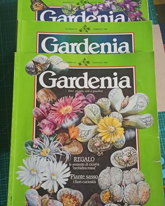 54 riviste gardenia