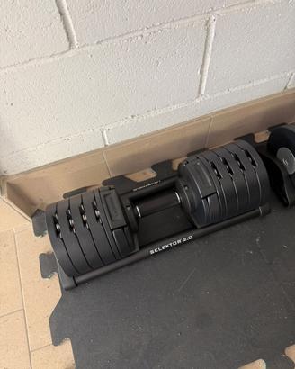 Coppia manubri Lacertosus Selektor 2.0 2-40kg
