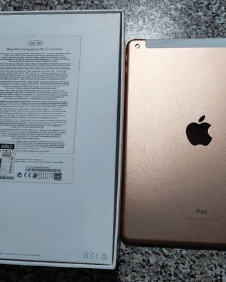 iPad A1954