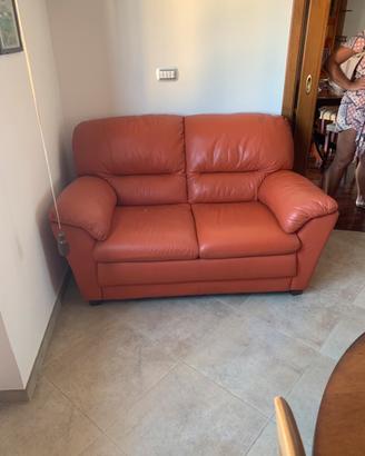 Divano in pelle due posti