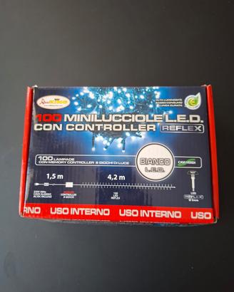 luci di Natale da interno 