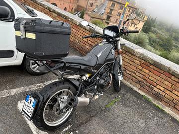 Benelli leoncino 500