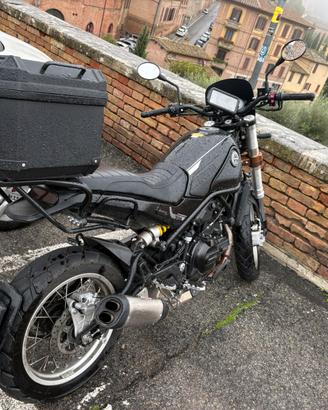 Benello leoncino 500