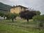 Immagine 14