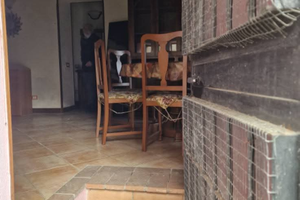 Adiacente Palazzo Farnese euro 15.000 abitabile