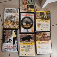 DVD Caccia cinghiale
