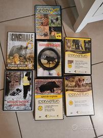 DVD Caccia cinghiale