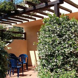 La CasadelGelsomino villa con giardino 5-17/7/26