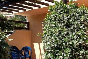 La CasadelGelsomino villa con giardino 1/6-4/7/26