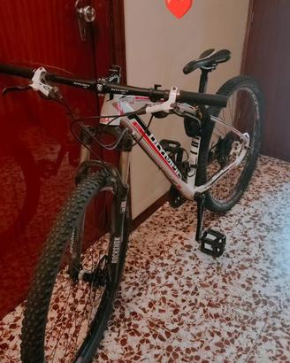 Mountain Bike Olympia Bull