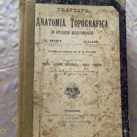 Trattato di anatomia topografica (1906)