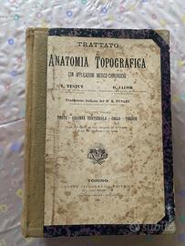 Trattato di anatomia topografica (1906)