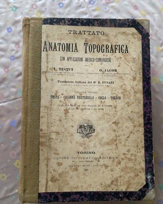 Trattato di anatomia topografica (1906)