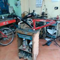  telaio  bicicletta 24