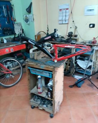  telaio  bicicletta 24