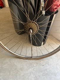 Cerchio completo cambio campagnol a stecca