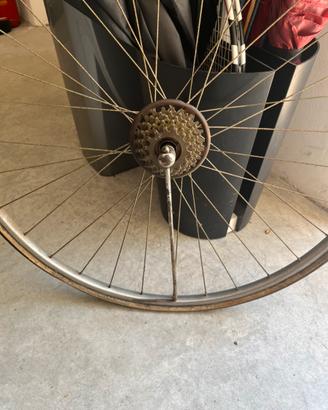 Cerchio completo cambio campagnol a stecca