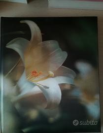 Album Fotografico Nuovo