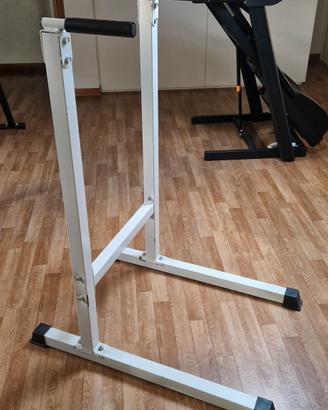 Dip Station palestra calisthenics