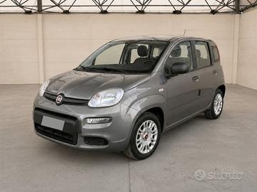 FIAT Panda III 2021 - Panda 1.0 firefly hybrid Cit