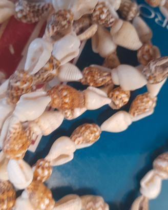 Collana vere conchiglie Oceano pacifico 