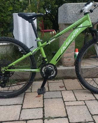 Mountain bike  bimbo
