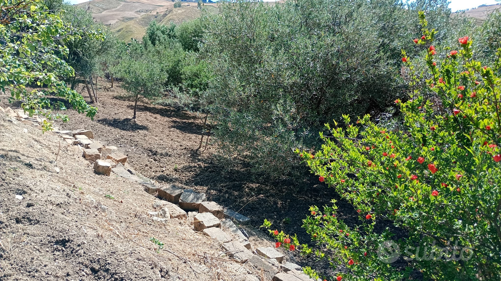Terreno con antico casolare - Vista 3