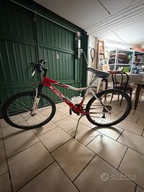 Biciletta Mountain Bike