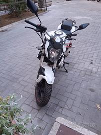 Benelli BN125 (2019)