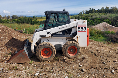 Bobcat