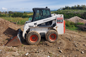 Bobcat
