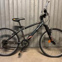Bicicletta da Ragazzo