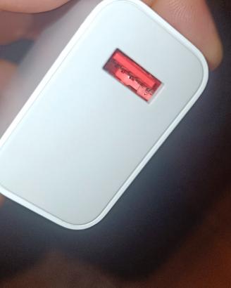 carica batterie 
