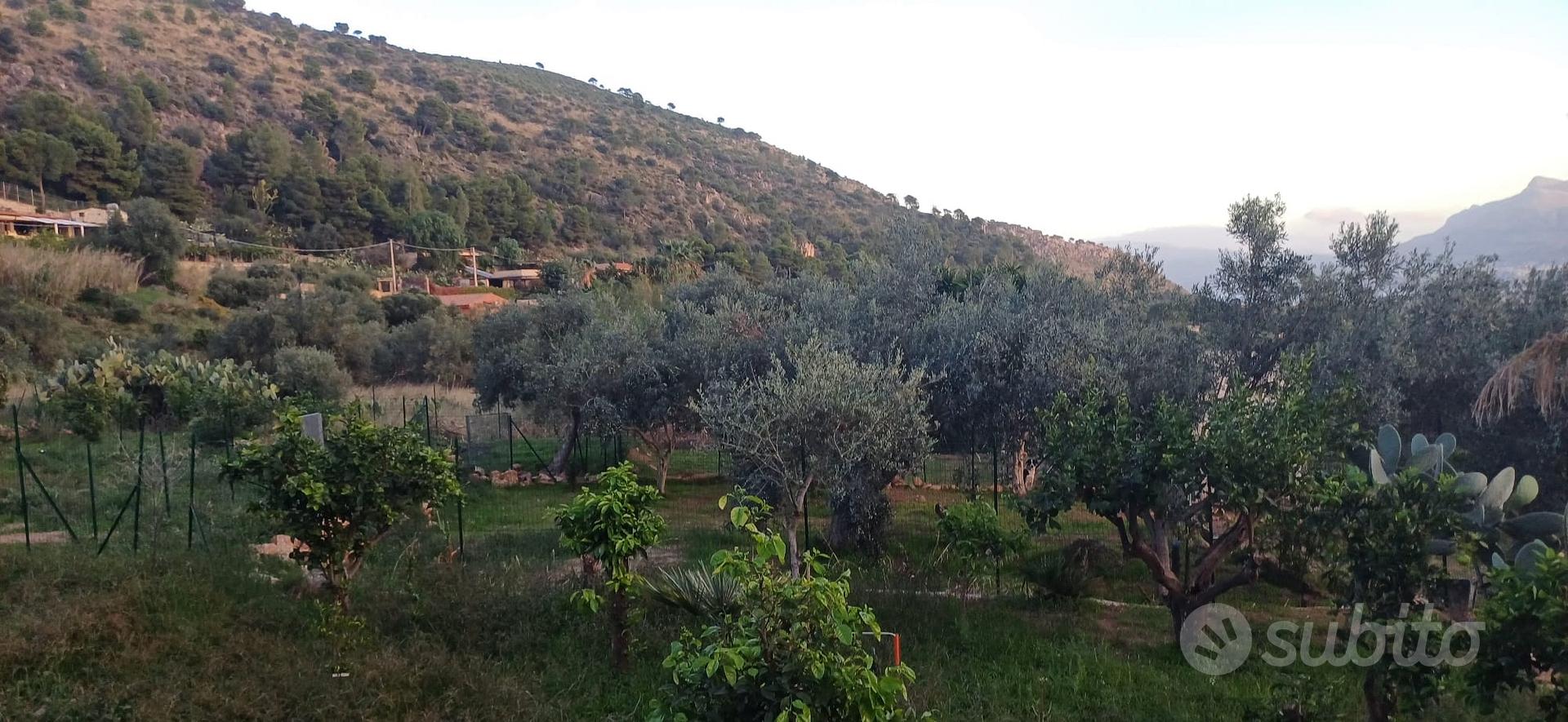 Terreno agricolo con casetta rurale Ter/37 - Vista 5