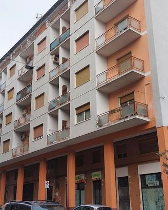 Grazioso trilocale zona zecchino