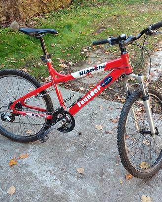MTB per ragazzo 26 