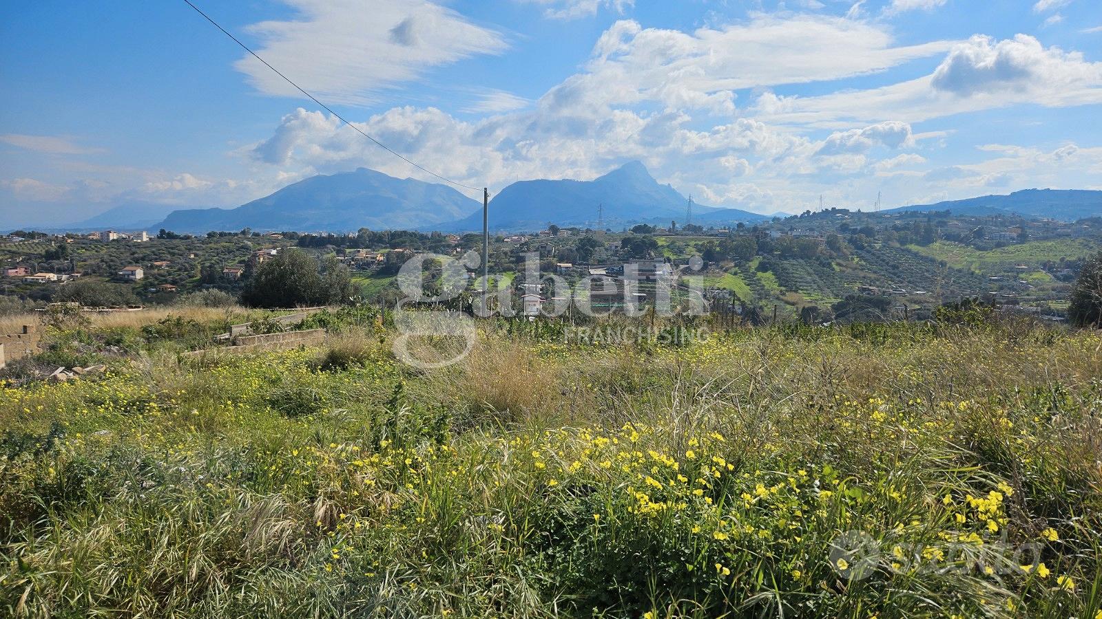 Ampio terreno agricolo vicino autostrada Ter/56 - Vista 2