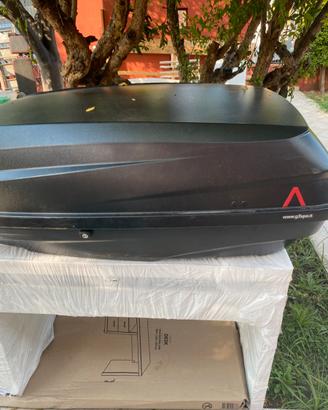 Baule
