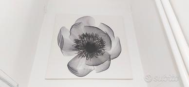 Quadro floreale stampa su tela bianco e nero