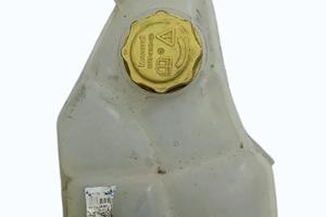 VASCHETTA TERGI ANT FORD Fiesta 6Â° Serie Benzina