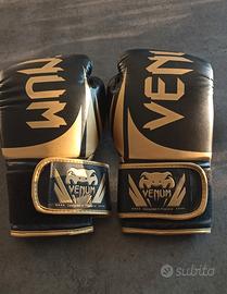 guantoni boxe - muay thai