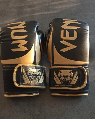 guantoni boxe - muay thai