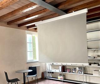 Proiettore NEC + telo ADEO 