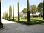 Immagine 9