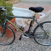 Bottecchia 883R Mirage