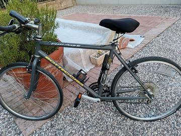 Bottecchia 883R Mirage