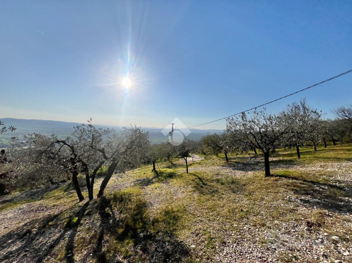 TER. AGRICOLO A ASSISI - Vista 2