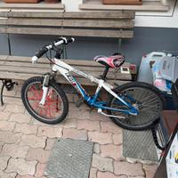MTB BAMBINO