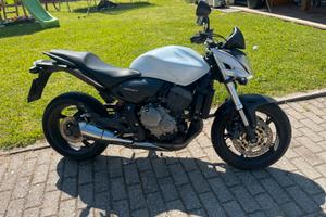Honda hornet 600