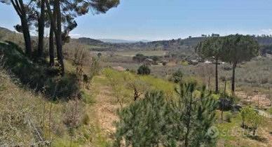 RGE 78/2017 Trib ENNA - LOTTO 10